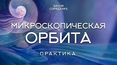 Микрокосмическая орбита