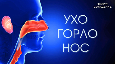 Ухо. Горло. Нос