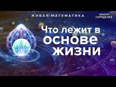 Картинка что лежит в основе жизни от школы Сорадения