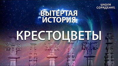 Картинка вытертая история. серия 4. крестоцветы от школы Сорадения