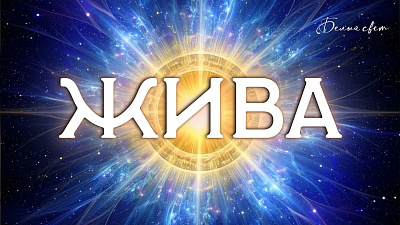 Картинка жива. виды живы. часть 1 от школы Сорадения