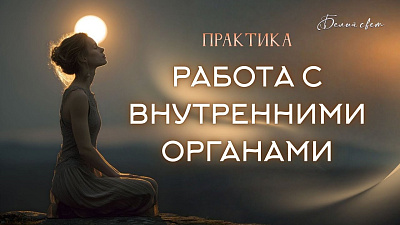 Картинка работа с внутренними органами. практики со вниманием от школы Сорадения