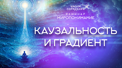 Картинка каузальность и градиент. семинар миропонимание. часть 2 от школы Сорадения