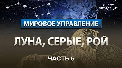 Картинка часть 5. луна, серые, рой от школы Сорадения