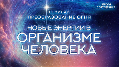 Картинка новые энергии в организме человека от школы Сорадения
