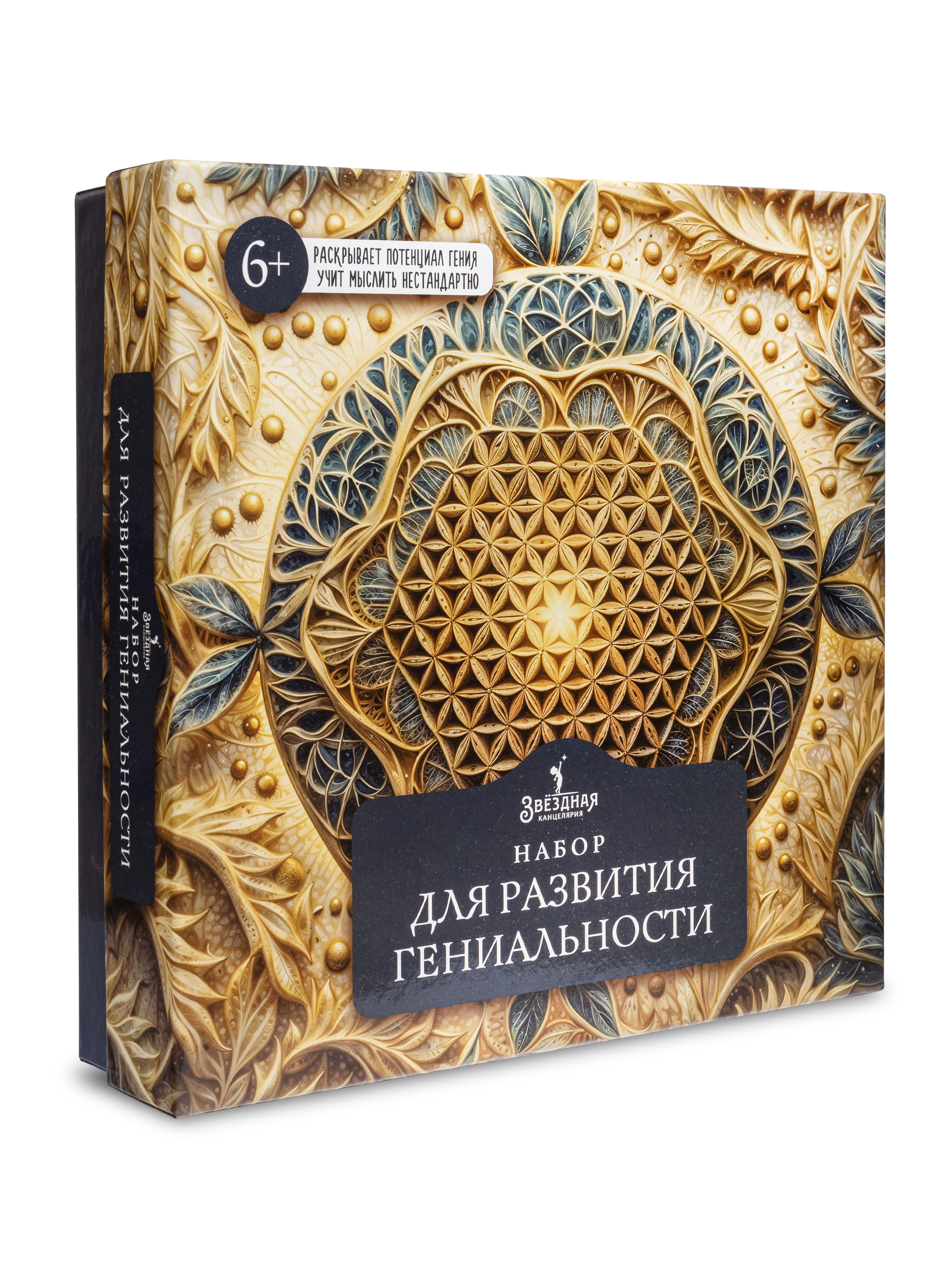 Набор для развития гениальности у детей Набор для развития гениальности у детей